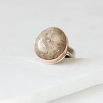 Fossilized Sea Urchin Ring