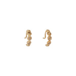Suny Earrings
